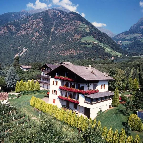 Pföstlhof，位于帕尔奇内斯的酒店