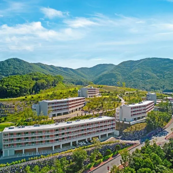Belle Fore Resort，位于Jeungpyeong的酒店