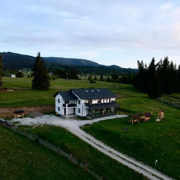 Vila Dorna Royal，位于Şaru Dornei的酒店