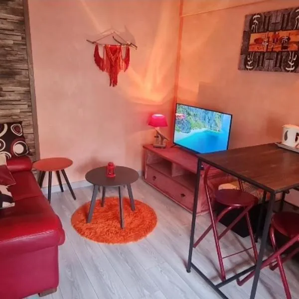 Micro studio vitaminé，位于莎弗莱斯邦尼尔的酒店