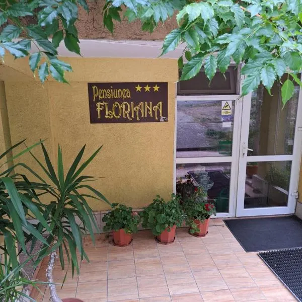 Pensiunea Floriana，位于伯伊莱海尔库拉内的酒店