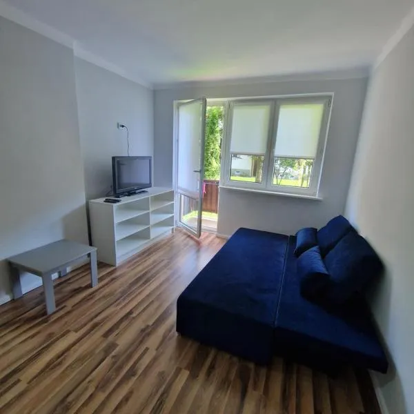 SAWAGO Apartament Fabryczna przy parku - samodzielne zameldowanie，位于普扎斯内什的酒店