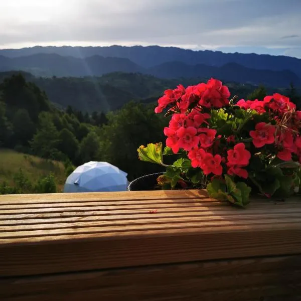 Glamping ZAZEN，位于Drumu Carului的酒店