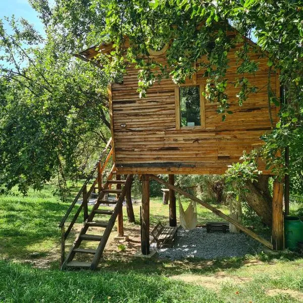 Apple Tree Cabin (Friendship Land)，位于Dragoslavele的酒店