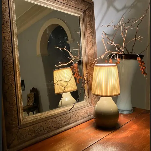 La Cochon Rose Motel，位于Saint Arnaud的酒店