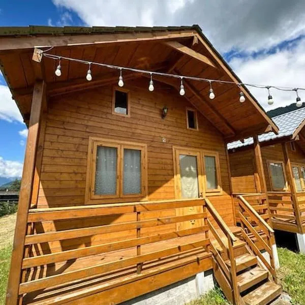 LogInn Family Cabin Cozy Wooden Cottage in Mestia，位于梅斯蒂亚的酒店