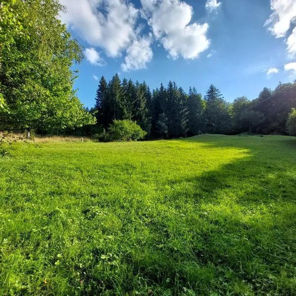 Tree house with private meadow in the middle of the forest，位于Bytca的酒店