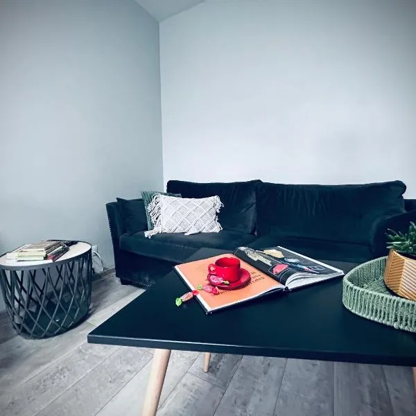 Lovely Stay in Siauliai，位于希奥利艾的酒店