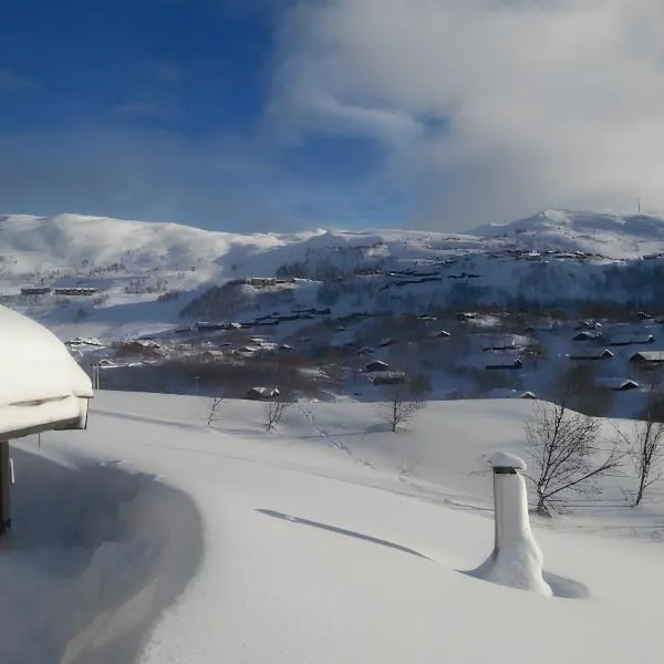 Haukeli Mountain Cabin，位于Vågsli的酒店