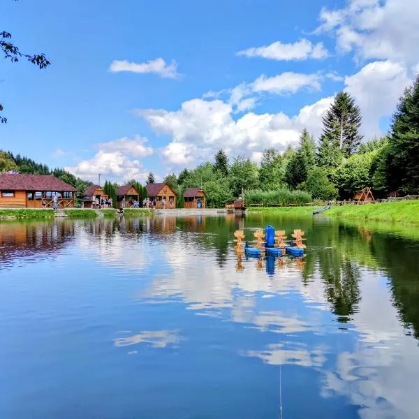 Відпочинково- оздоровчий комплекс ОПАКА з форельником，位于Schodnica的酒店