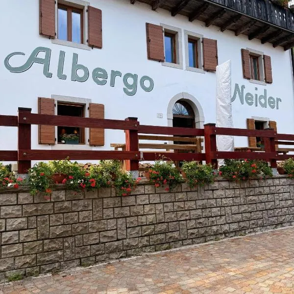 Neider Hotel - Alpine Retreat Sauris，位于绍里斯的酒店