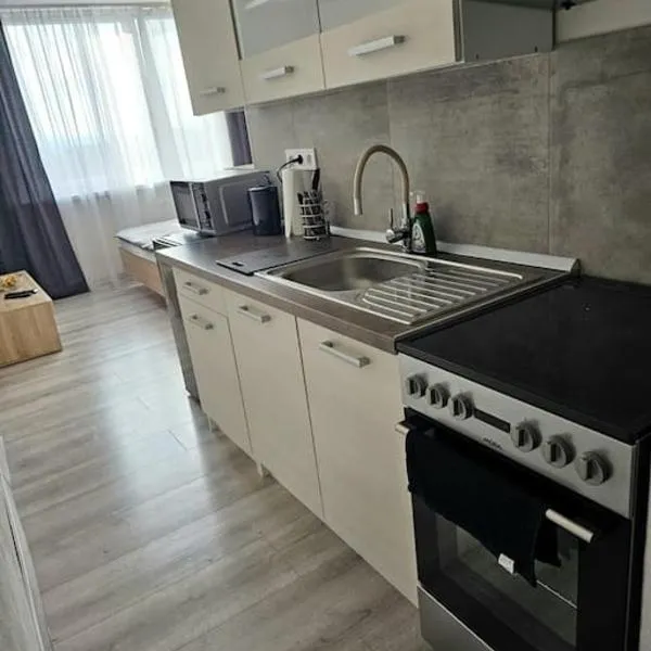 Apartmán pri rieke，位于Vyšné Revištia的酒店