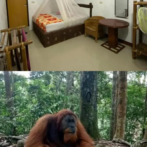 Brown Bamboo Guest house & trekking bukit Lawang，位于武吉拉旺的酒店