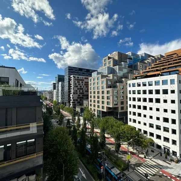 Central Luxurious Apartment Barcode Oslo，位于福尼布的酒店