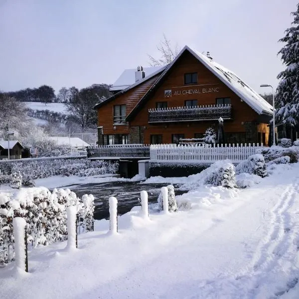 Au Cheval Blanc - Chalet de Montagne - 20 personnes，位于安蓓的酒店