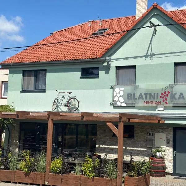 Penzion Blatnička，位于Blatnička的酒店