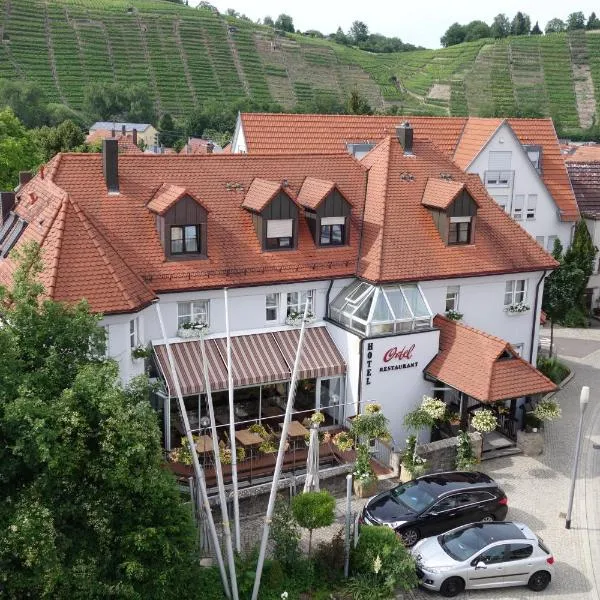 Hotel-Restaurant Ortel，位于克莱布龙的酒店