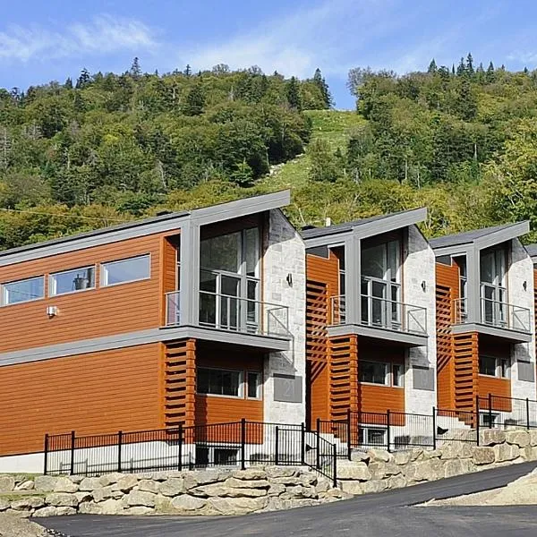 Chalet 23 Chemin des Quarante by Les Chalets Alpins，位于斯托纳姆的酒店
