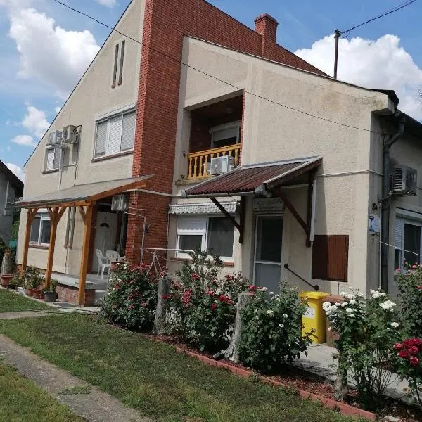 Dékány vendégház，位于Mezőhegyes的酒店