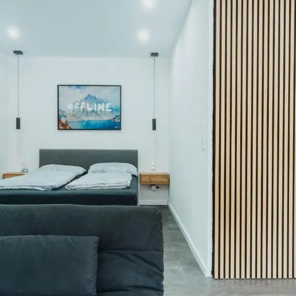 Loft 38 Mainz，位于美因茨的酒店