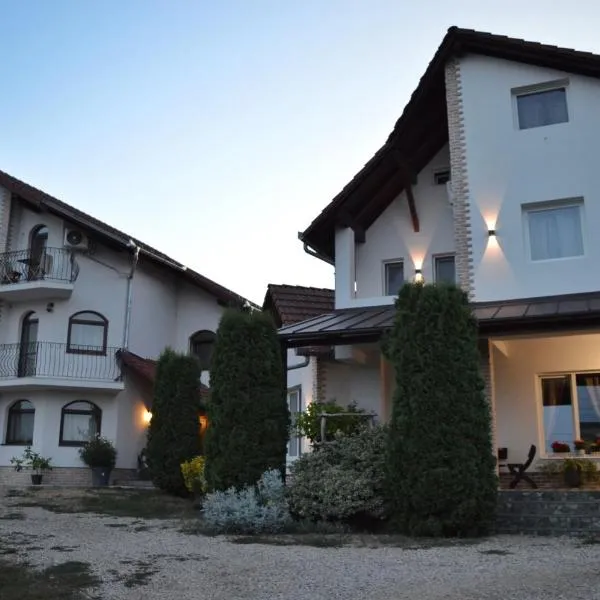 Pensiunea Faur，位于赛比什的酒店
