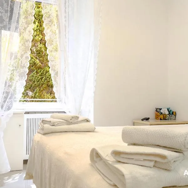 Azadi B&B Flaminio，位于罗马的酒店