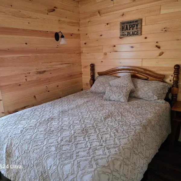 Letchworth Valley Campground Cabins，位于Bliss的酒店