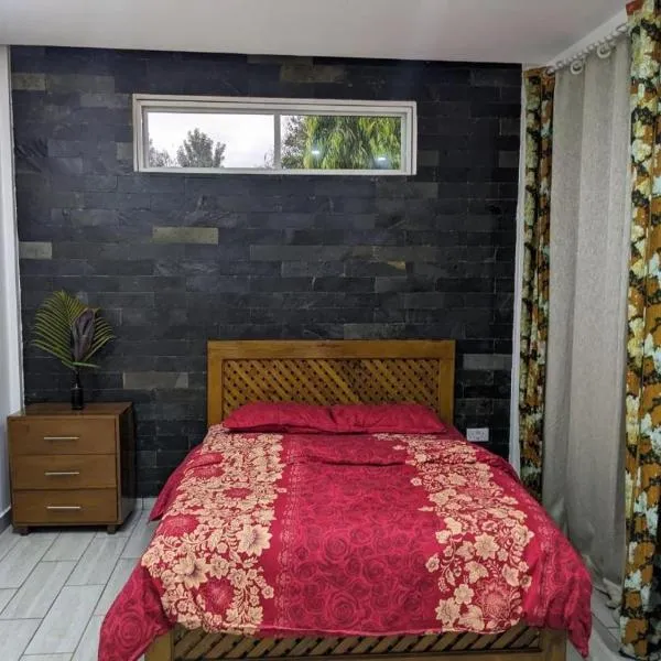 Wellness Homestay，位于莫希的酒店