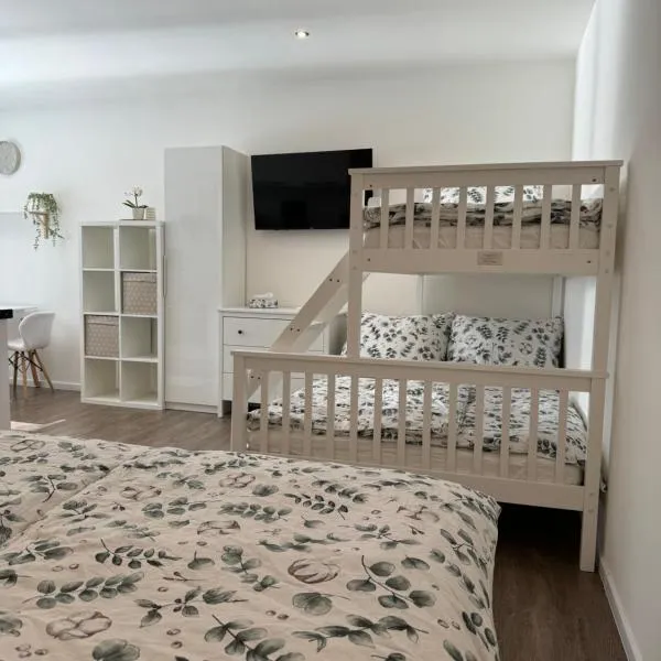 RK Apartment #4，位于布尔诺的酒店