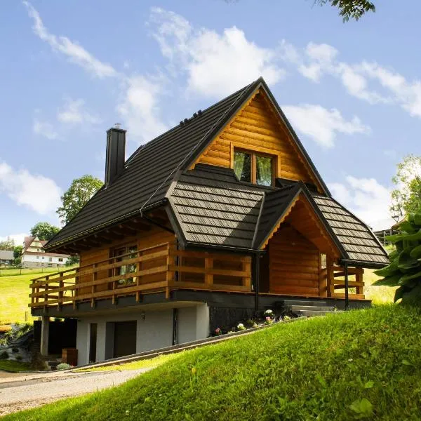 Chałupka pod Brzyzkiem，位于扎布的酒店