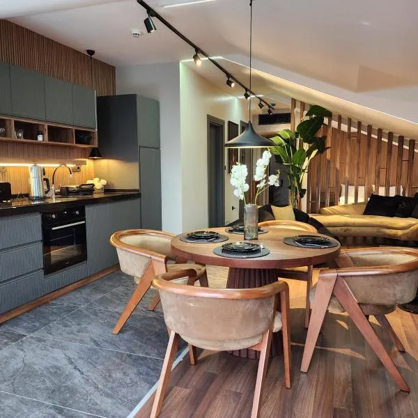 Dream house 22，位于伊斯坦布尔的酒店