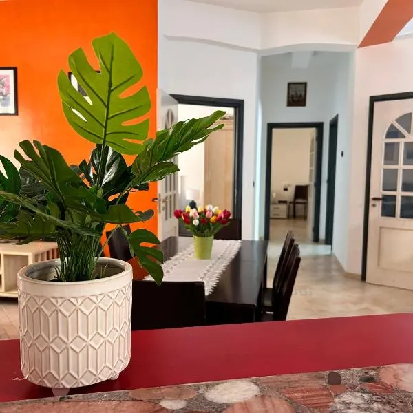 Seamply apartment il mare in 1 minuto，位于马奥莱的酒店