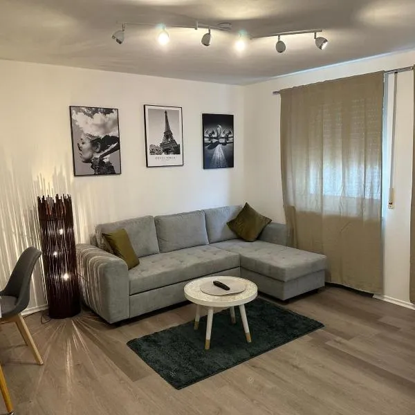 Ferienappartment in zentraler Lage Passau，位于帕绍的酒店