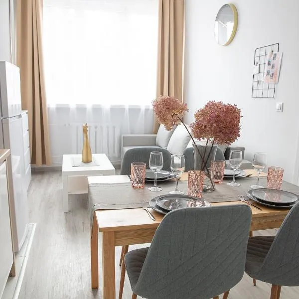 Apartamenty Ogrodowa，位于绿山城的酒店