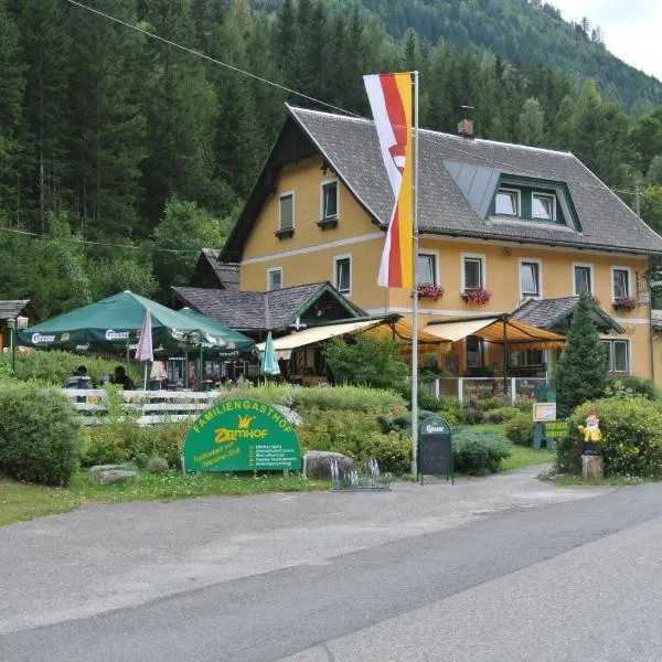 泽慕霍夫家庭旅馆，位于Plessnitz的酒店