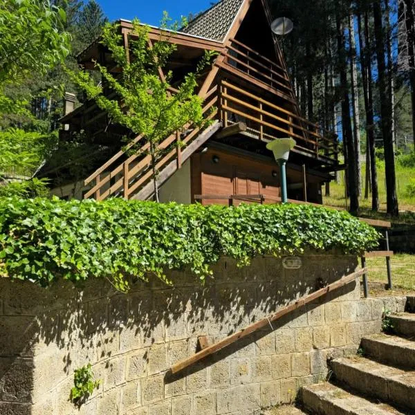 Chalet Natura la tana del ghiro，位于Cavaliere的酒店