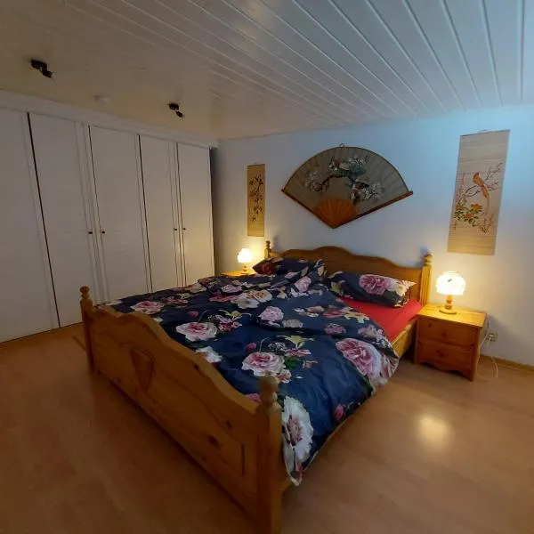 Flensburg Ferienwohnung Apartment nähe Zentrum und Uni，位于弗伦斯堡的酒店