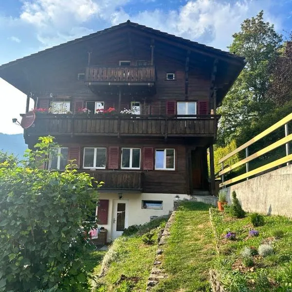Chalet Luegistal，位于翁根的酒店