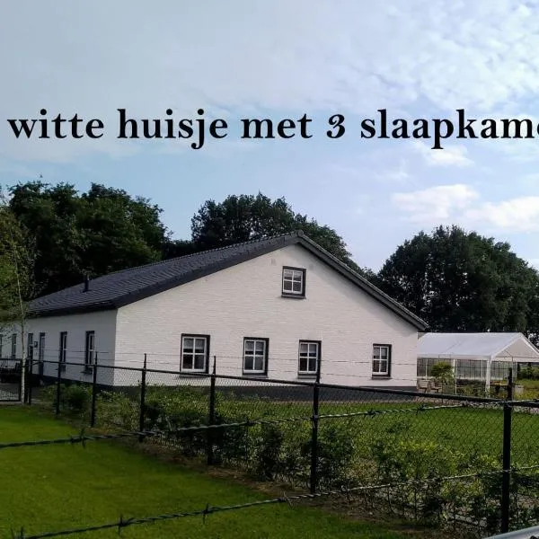 Ut witte huisje，位于Westerbeek的酒店