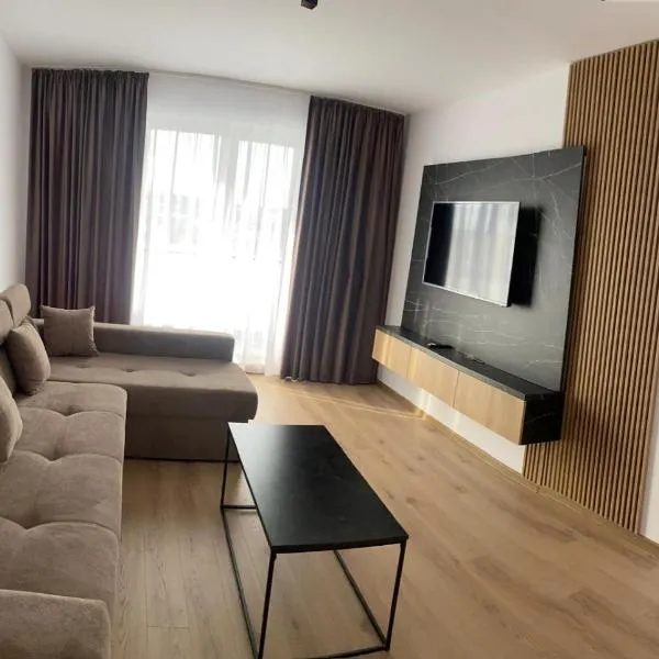 Milan Luxury Apartaments VI-Maurer Residence，位于Ungheni的酒店