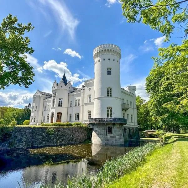 Schloss Schlemmin，位于Schlemmin的酒店