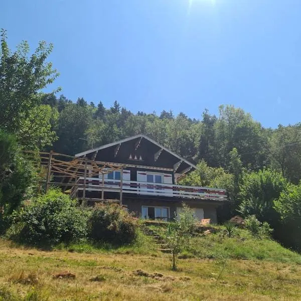 Le chalet des amis，位于Aurec-sur-Loire的酒店