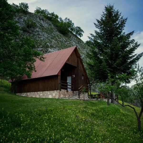 Detached house Milivoje，位于Pošćenje的酒店