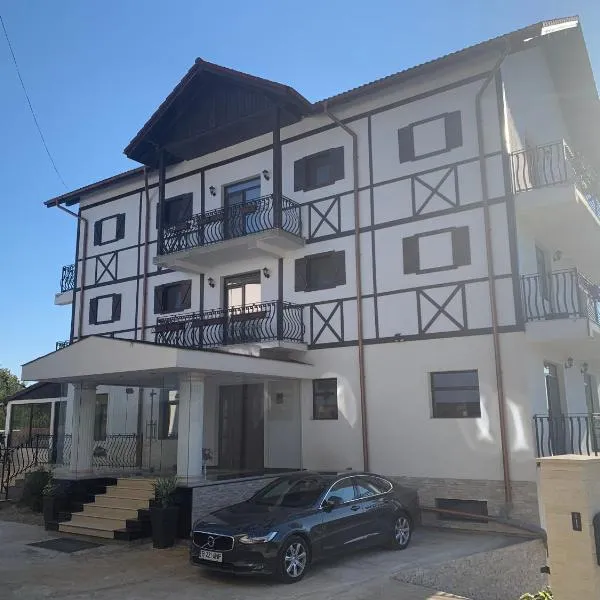 Conacul Voievozilor，位于Romînii de Jos的酒店