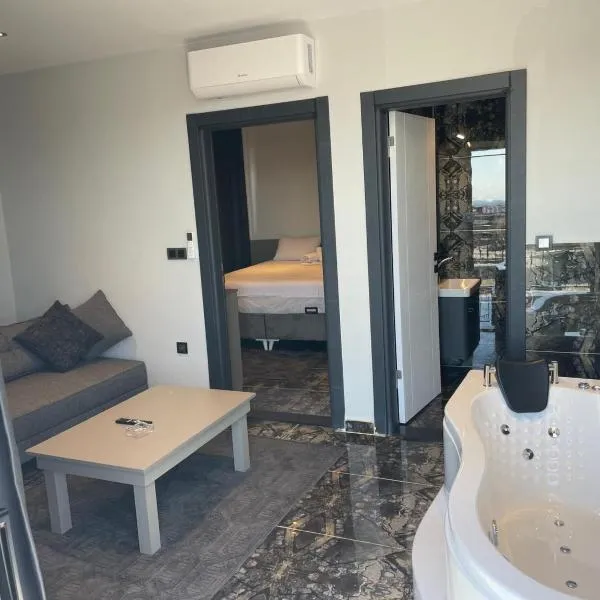 CK PALACE Hotel，位于伊斯坦布尔的酒店