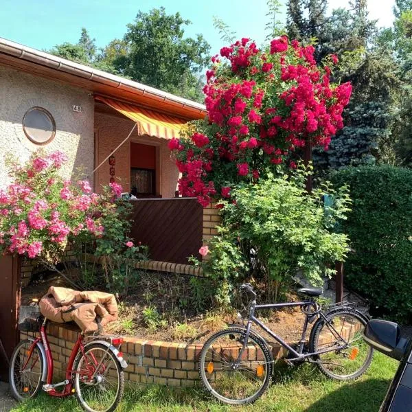 Grüner Bungalow am Kiebitzsee，位于Falkenberg的酒店