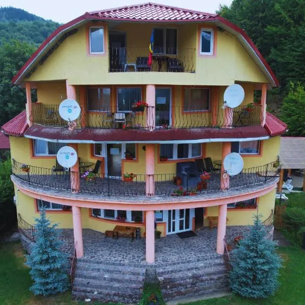Casa Potcoava，位于莱普沙的酒店