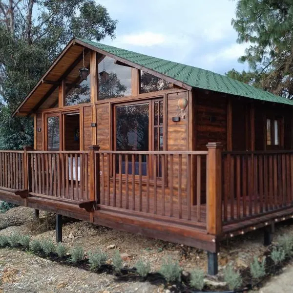 Casita de Palo- para estrenar，位于莱瓦镇的酒店