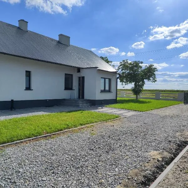 Pod Orzechem Włoskim，位于Mieleszyn的酒店