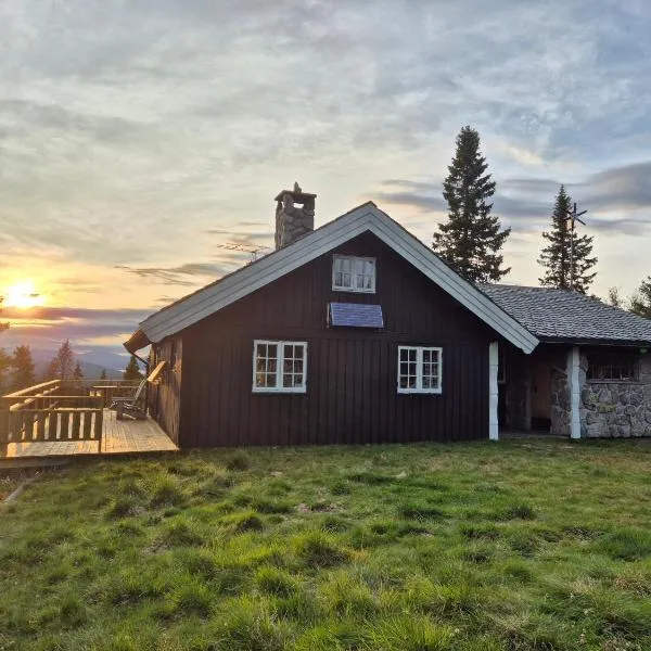 Cozy log cabin at beautiful Nystølsfjellet，位于高尔的酒店